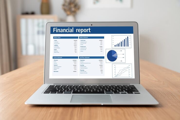 Pro Forma Income Statement