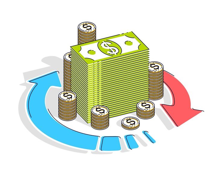 The Cash Flow Section